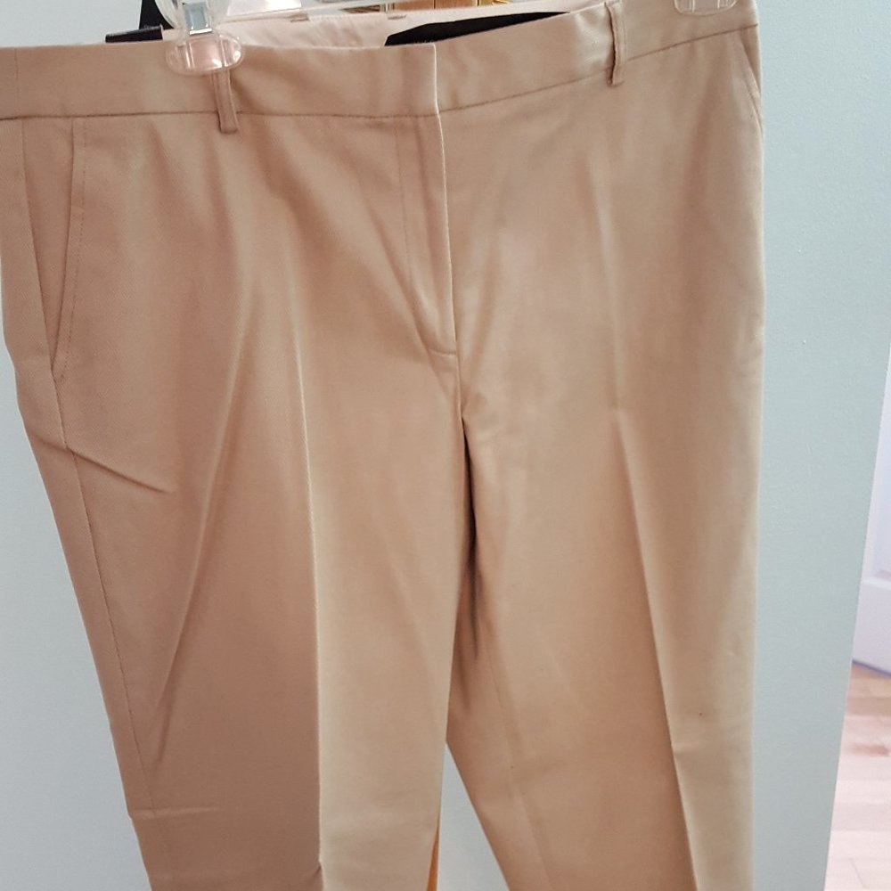 NWT Jones New York tan pants